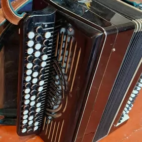 Баян, Гармонь,Часы СССР