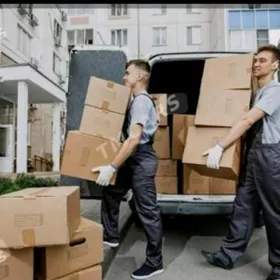 Günlük Iş gözleýän Kömekçi.