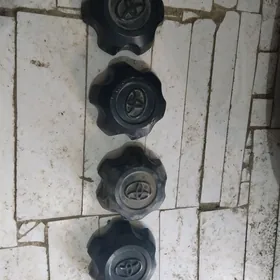 prastoy pikap diskan kalpagy