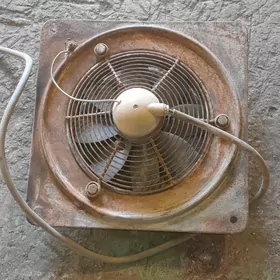 хапа сорыжы