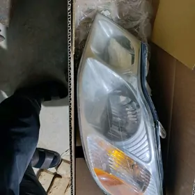 duty avalon cep fara