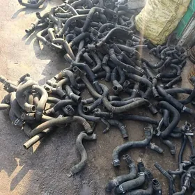 Suw patrubga kamry Karola