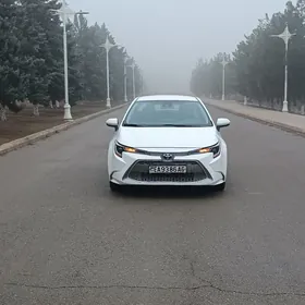 Toyota Corolla 2021
