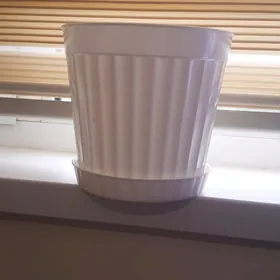 gul gorşok горшок