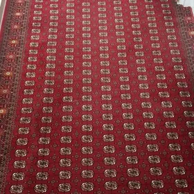 HALY PALAS SATYN ALÝAS 