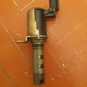 Duty wanus dacik 2.4