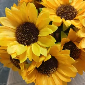 Arenda Abiznoy zdanya