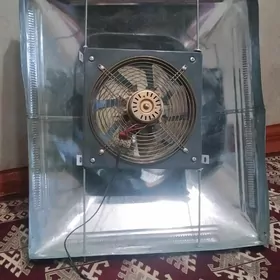 wentilýator dymahod