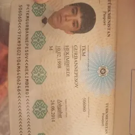 pasport yitdi
