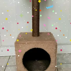 когтеточка, pisik