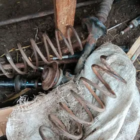 е 34 Пуржин Ступитса