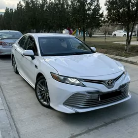 Toyota Camry 2020