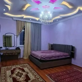 ARENDA POLELITKA MIR 8