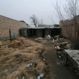 ⚧️  HOVLY  ⚧️