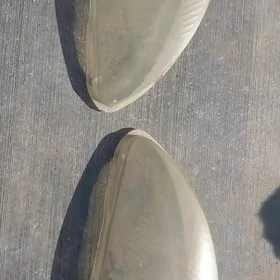 gazel fara yuzi plasmas