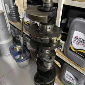 Maz somaswal 238 kalen wal sta