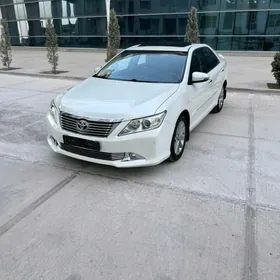 Toyota Aurion 2013