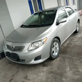 Toyota Camry 2010