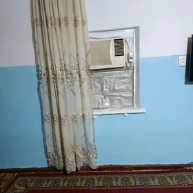 Arenda Jay virimyanka 106 a