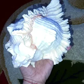 ДЕКОР  для аквариума