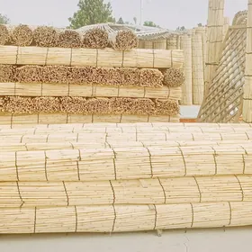 Gamyş AK öý garaja öý Raşotgo