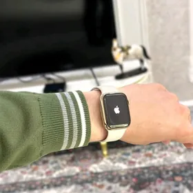 Apple Watch 8 Steinless 100%