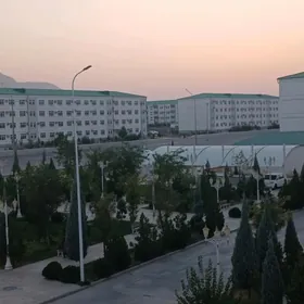 Buzmeyin  gres arkacka