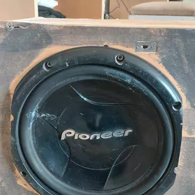 pioneer bocka arginal