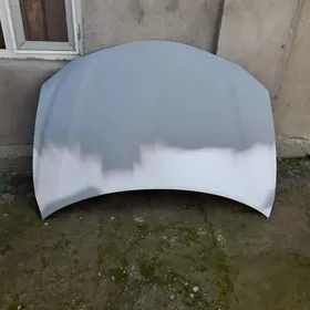 okuz kelle kapot krlo