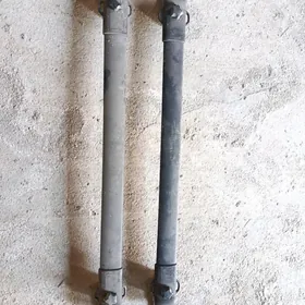 Sienna liza morda arginal