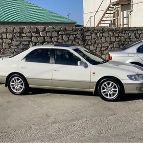 Babycga orginal grand disga