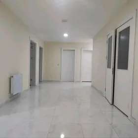 Anew pilelitka 5 kom