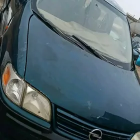 Sintra tokgalygna bölüp satyan