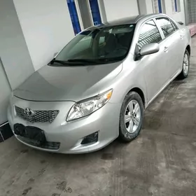 Toyota Corolla 2010