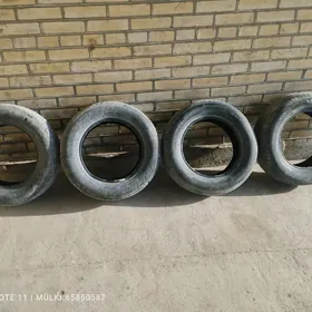 205 65 15 lik pakrysga