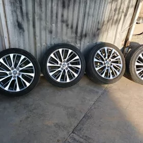 ARGINAL ES DISGA PAKRISGA