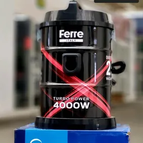 tozan sorujy plesos palisos