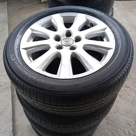 17 lik diska pakriska