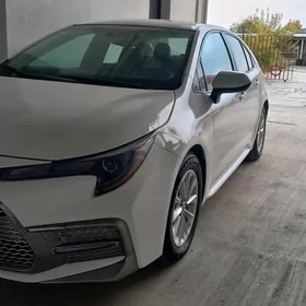 Toyota Corolla 2022