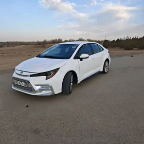 Toyota Corolla 2023