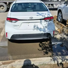 Toyota Corolla 2024