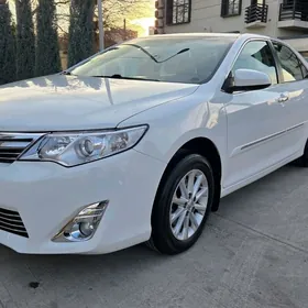 Toyota Camry 2013