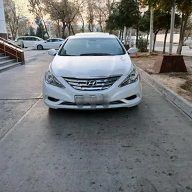 Hyundai Sonata 2010