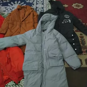 𝕂𝕦𝕣𝕥𝕘𝕒