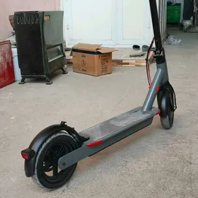 samakat tokly tigir bar amatly