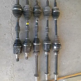 Granat TAÝOTA UGRY KAMPLEKIT.