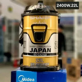 tozan sorujy plesos palisos