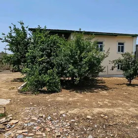 Hitrowka sewerny 6 sotok karob