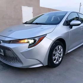 Toyota Corolla 2020