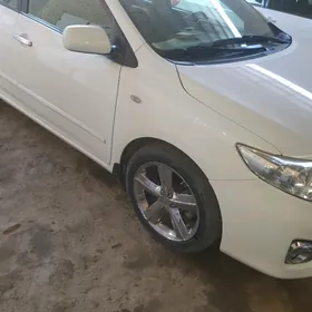 ДИСКА КАЛЁСЫ